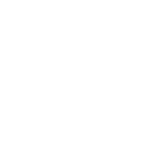 Neanderthal Flute