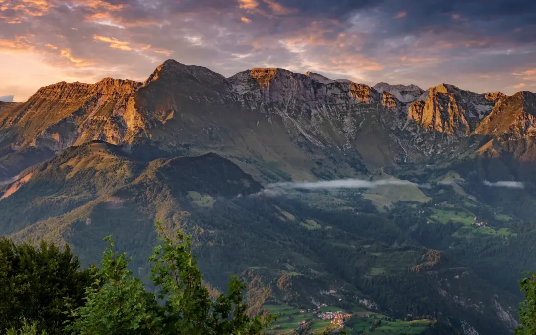 Online Booking for your Activities