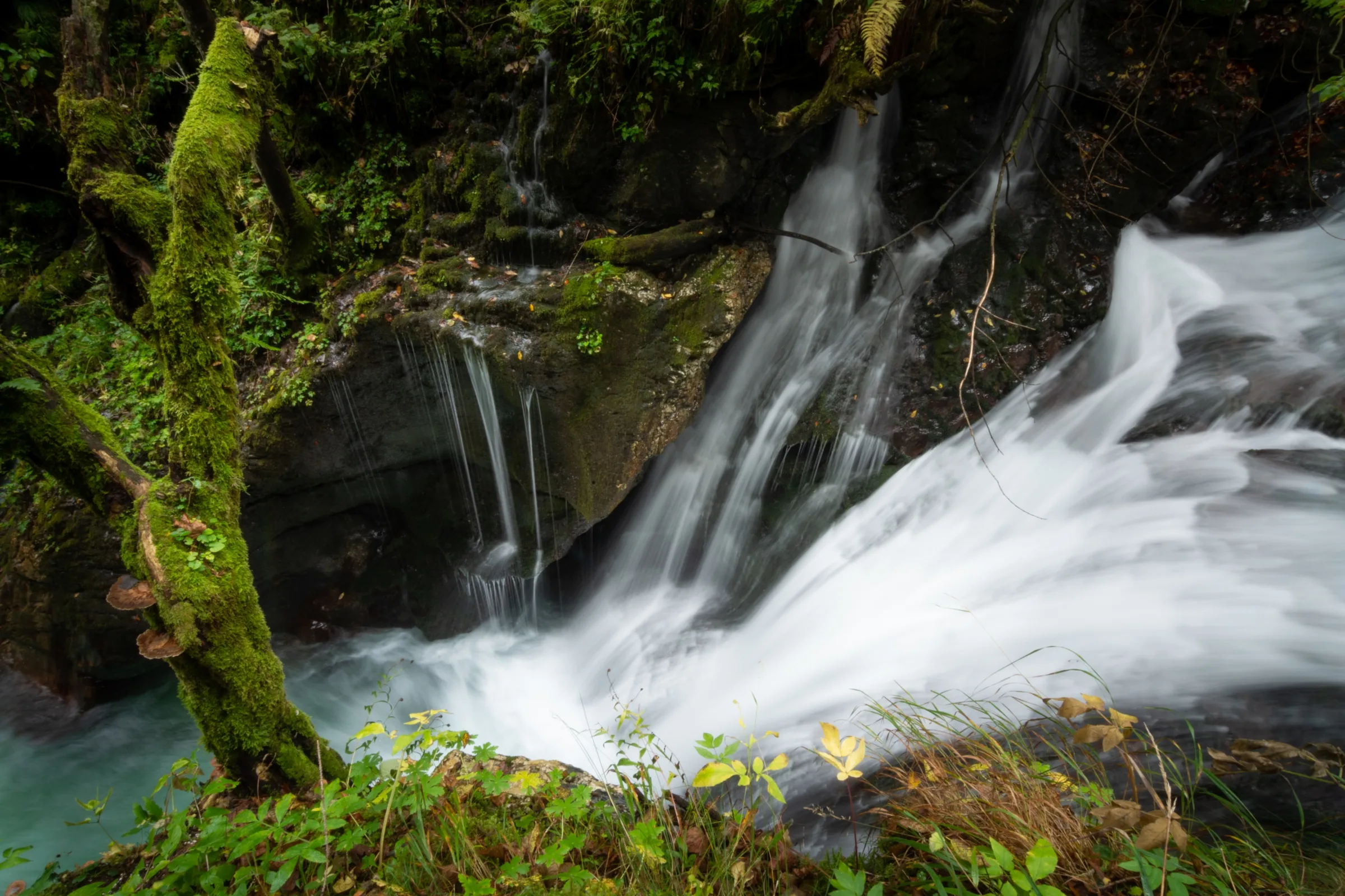 dolina soče live water dolina soče live water