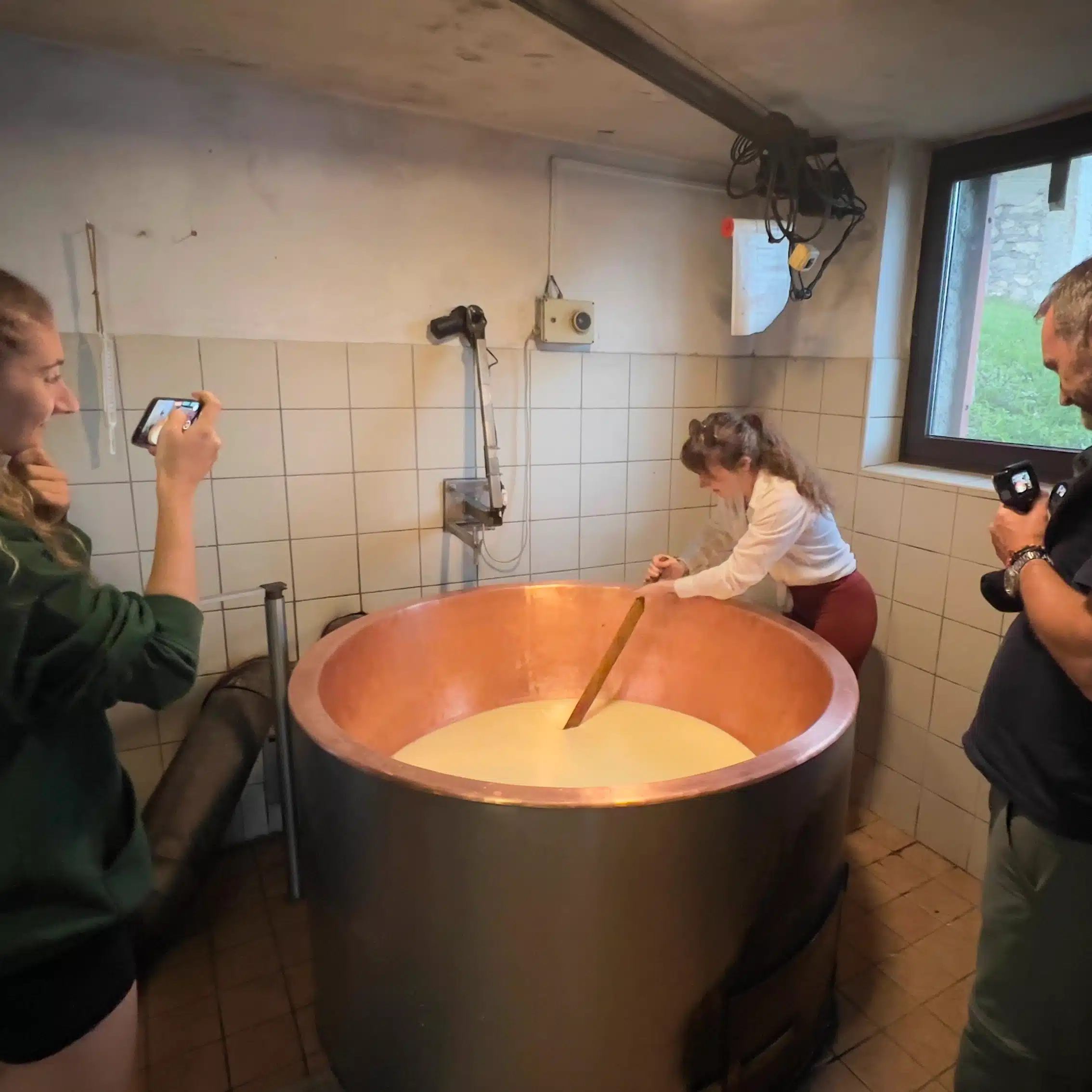 Cheesemaking Experience Soča Valley