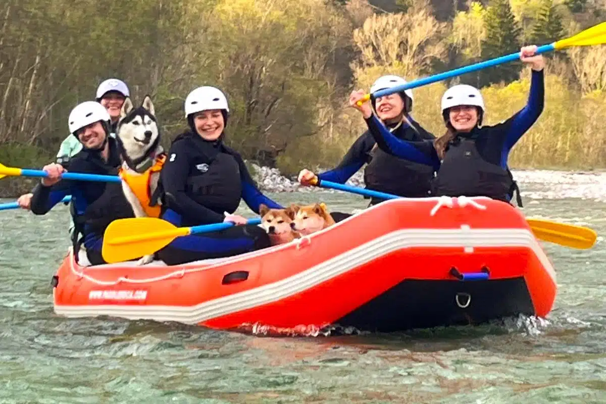 Rafting with your dog