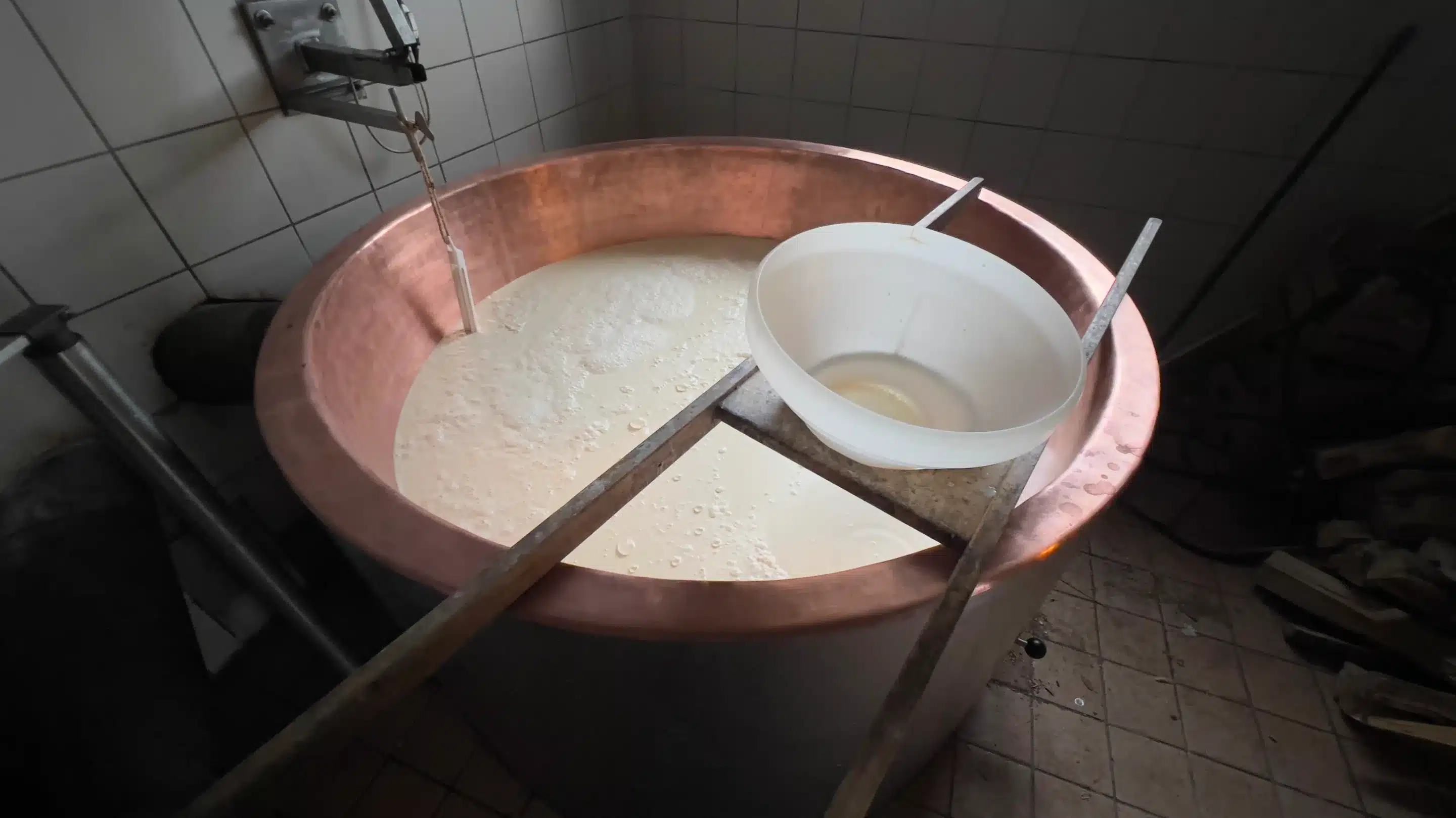 CheesemakingWorkshop-AlpineMeadowZaslap-Milk