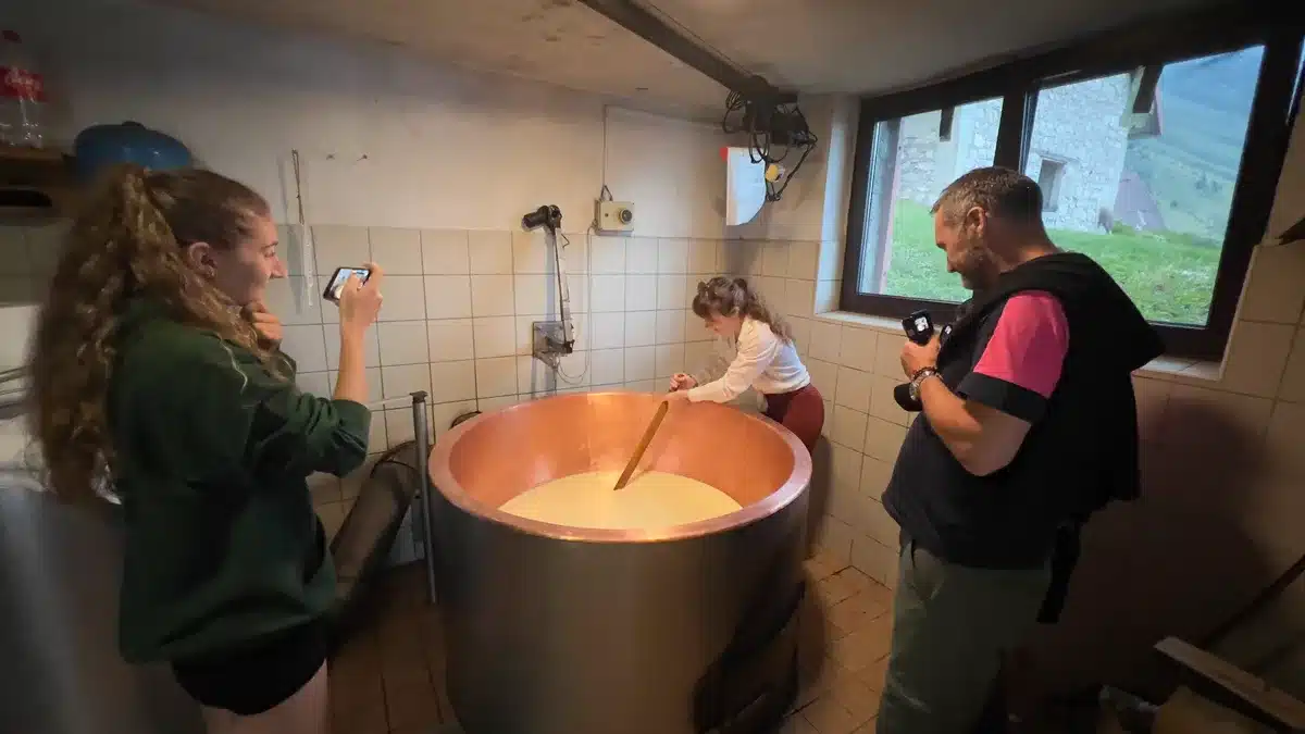 CheesemakingWorkshop-AlpineMeadowZaslap-Work