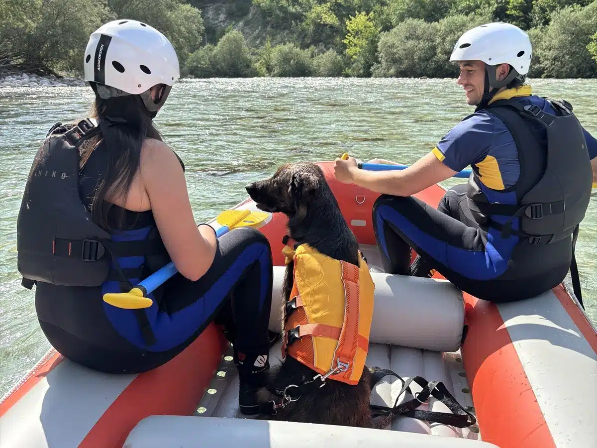 BOVEC Rafting with your dog